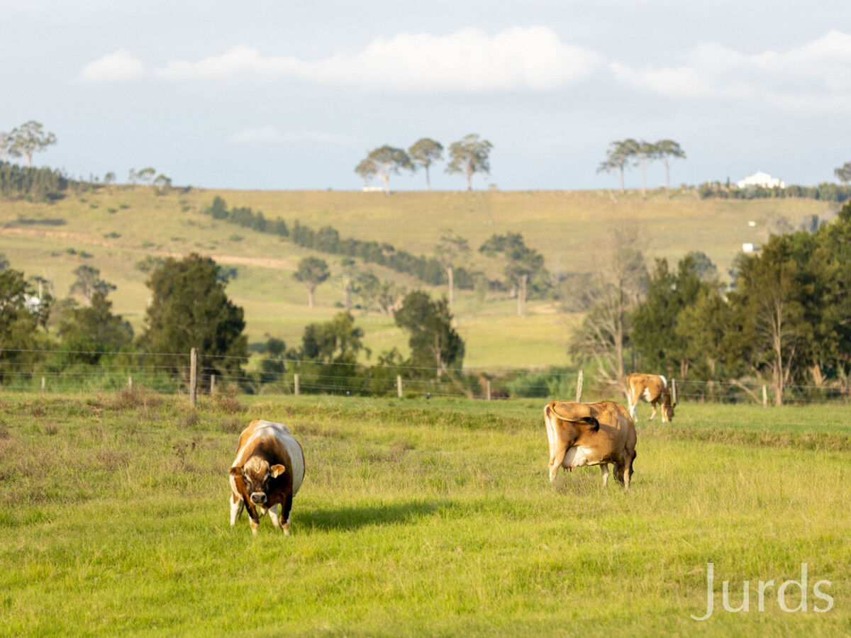 103 Dickenson Road, Melville, Melville - Thumbnail 8