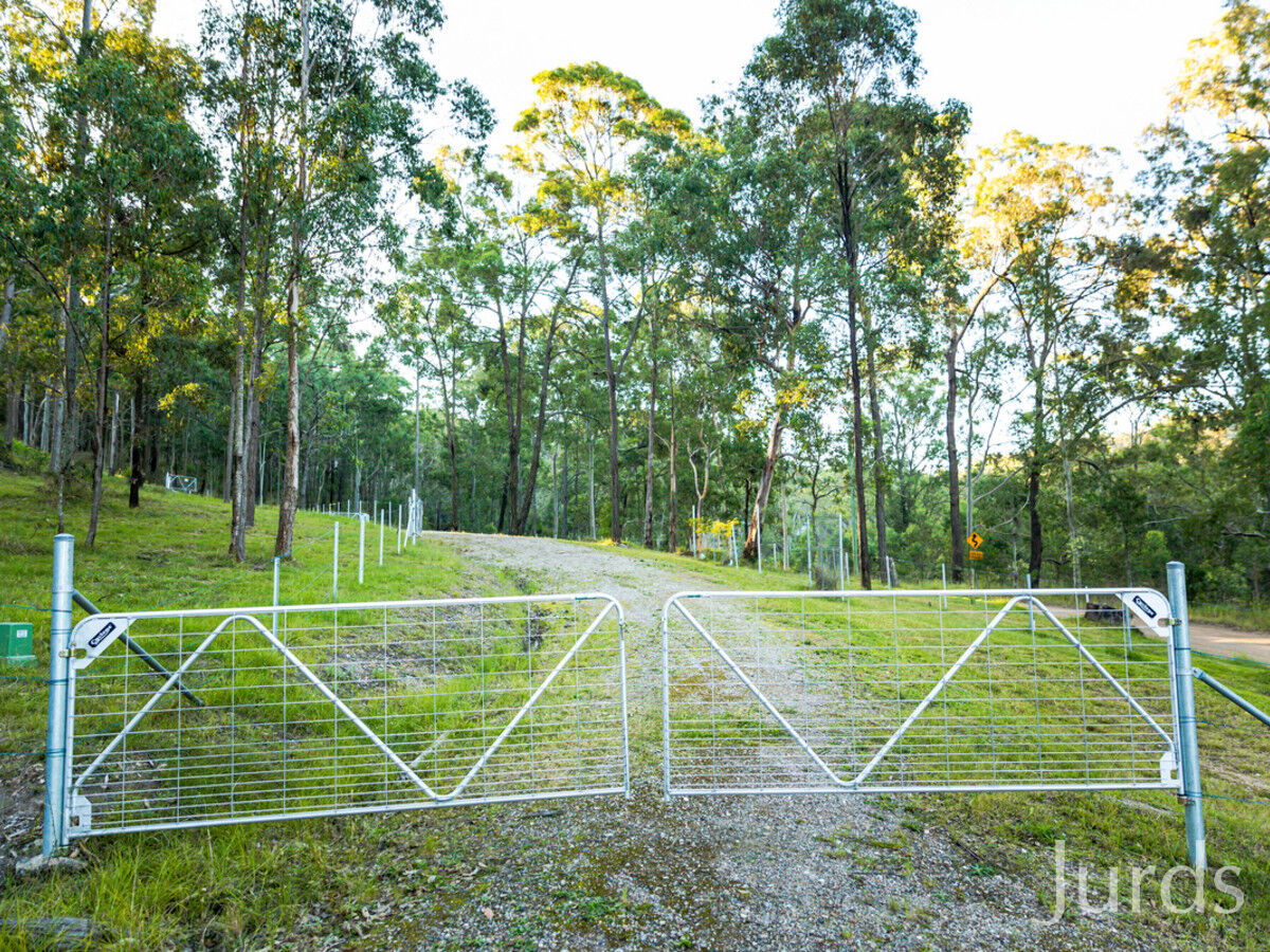 1358 Mount View Road, Millfield, Millfield - Thumbnail 2
