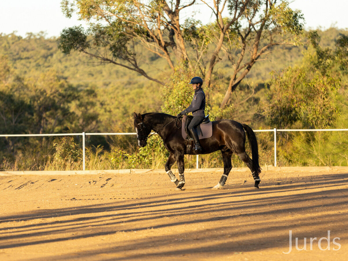 138 Olsen Road, Lovedale, Lovedale - Thumbnail 6