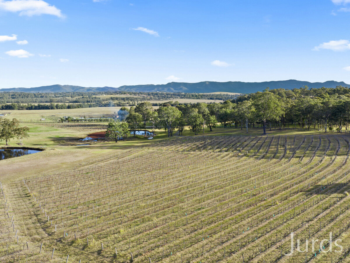 496 Talga Road, Lovedale, Lovedale - Thumbnail 6