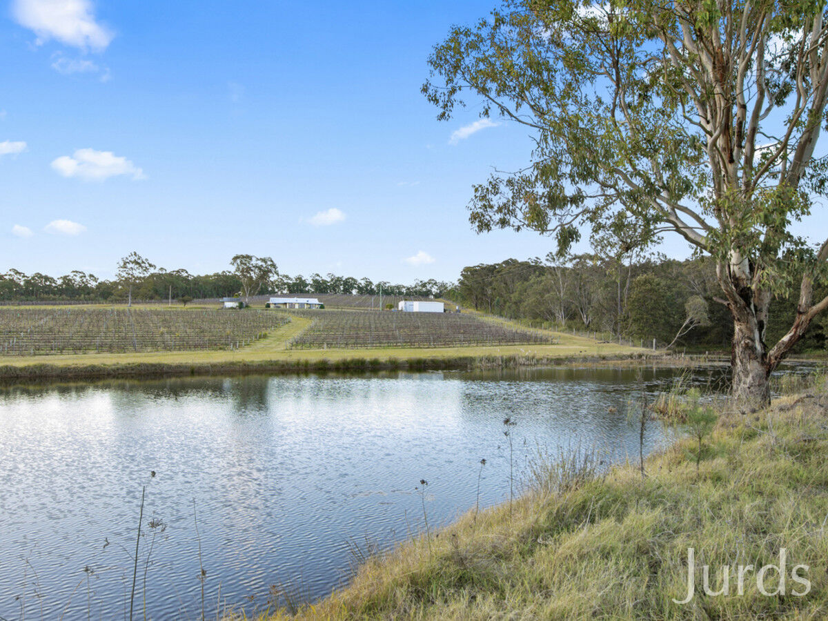 496 Talga Road, Lovedale, Lovedale - Thumbnail 2