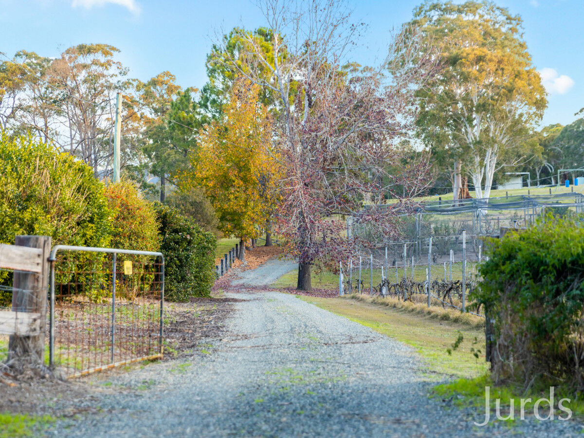 755 Sandy Creek Road, Quorrobolong, Quorrobolong - Thumbnail 7