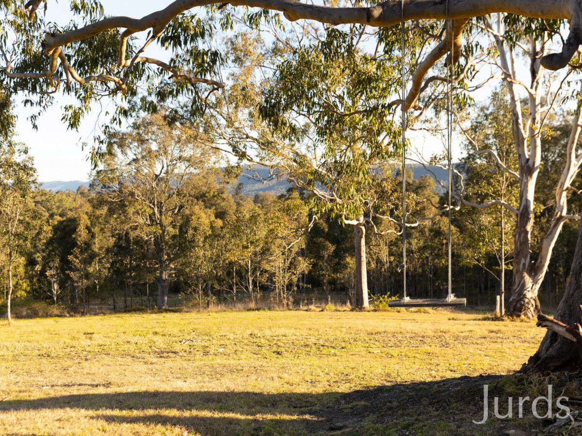 1377 Mount View Road, Millfield, Millfield - Thumbnail 8