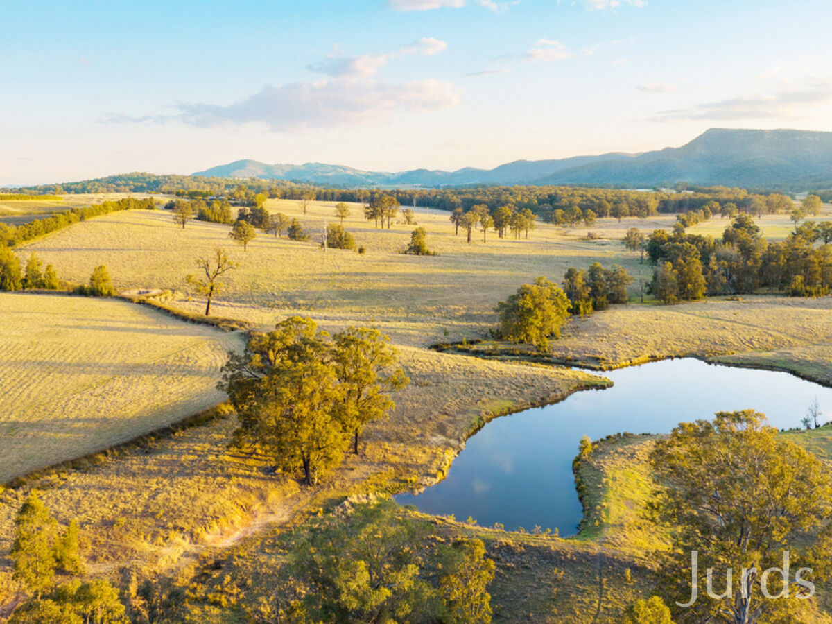Lot 40 Gillards Road, Pokolbin, Pokolbin - Thumbnail 4