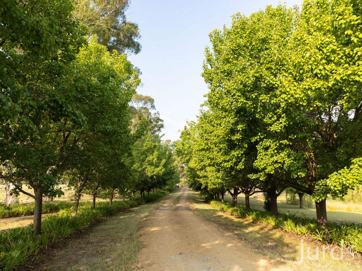 282 Quorrobolong Road, Quorrobolong, Quorrobolong - Thumbnail 8