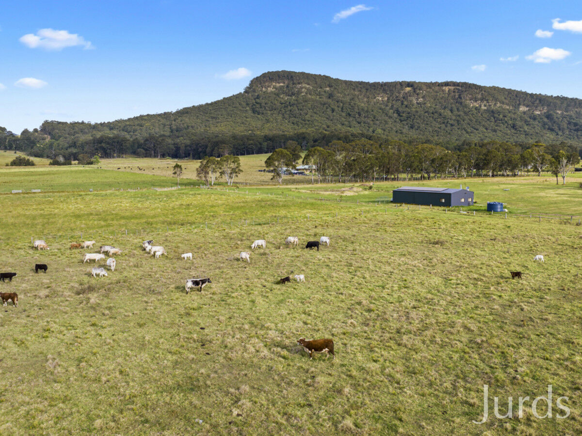 244 Whitings Lane, Quorrobolong, Quorrobolong - Thumbnail 3
