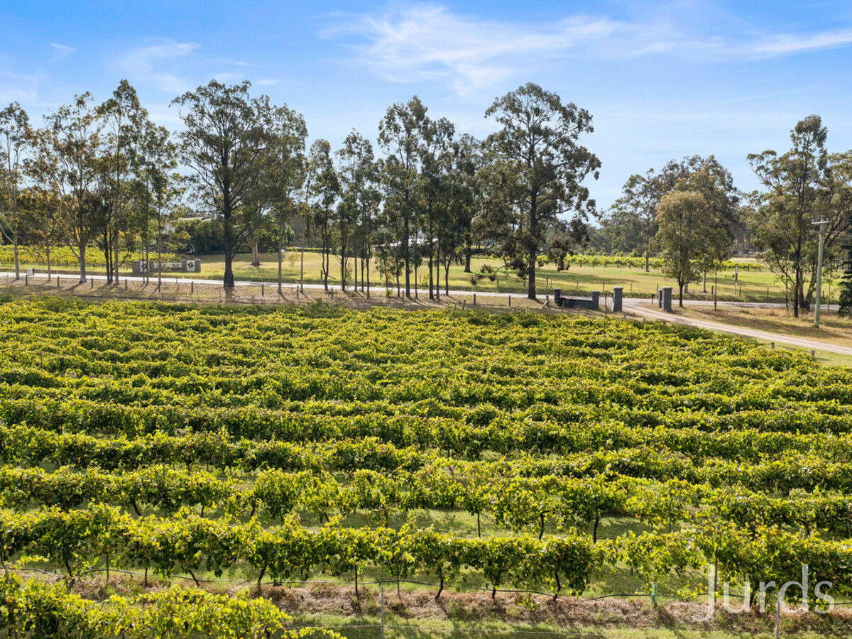 691 Hermitage Road, Pokolbin, Pokolbin - Thumbnail 4