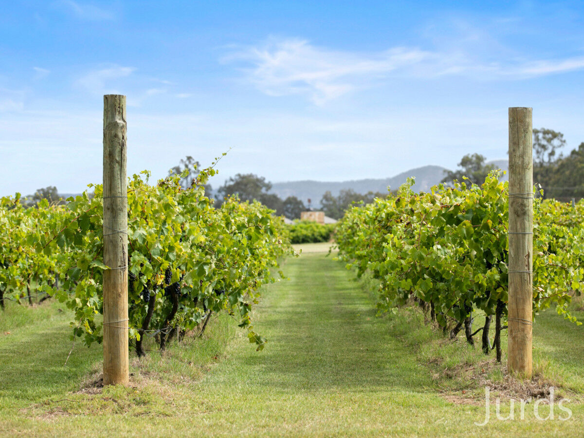 691 Hermitage Road, Pokolbin, Pokolbin - Thumbnail 8