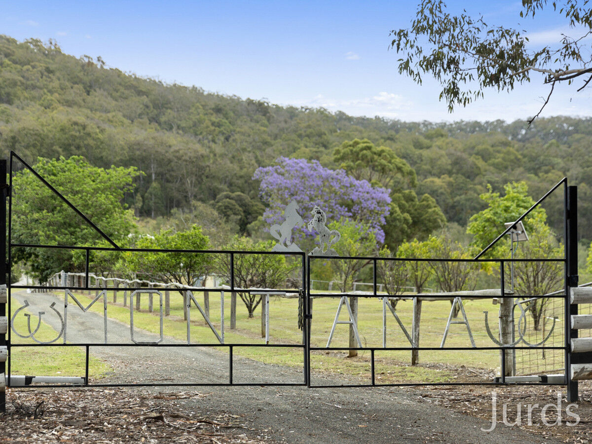 42 Pyne Way, Mount View, Mount View - Thumbnail 6