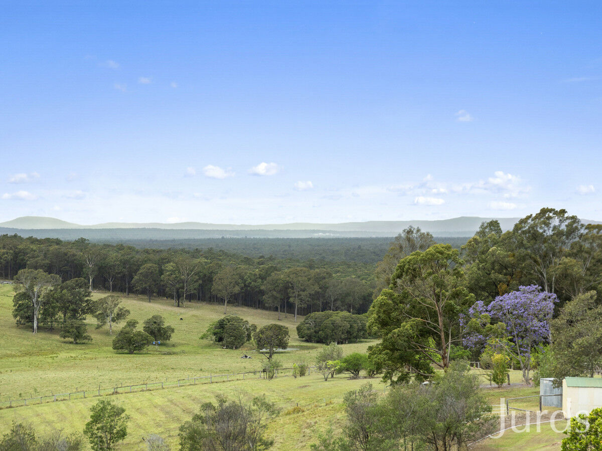 42 Pyne Way, Mount View, Mount View - Thumbnail 4