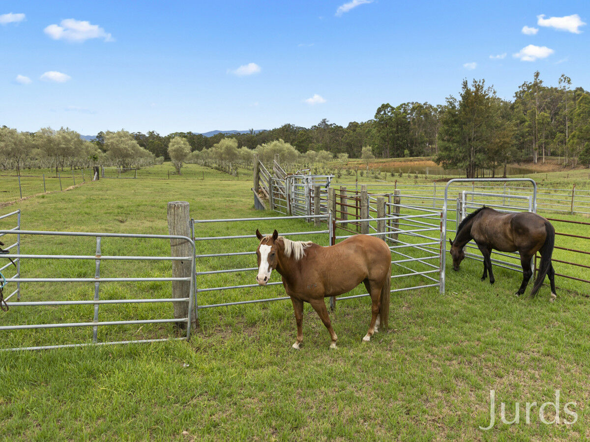93 Lindsay Road, North Rothbury, North Rothbury - Thumbnail 8