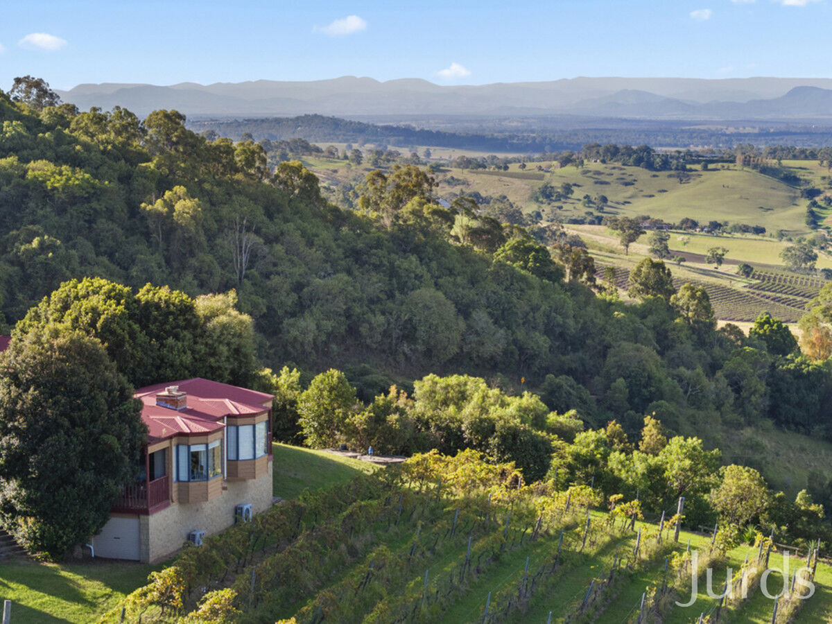 857 Mount View Road, Mount View, Mount View - Thumbnail 5