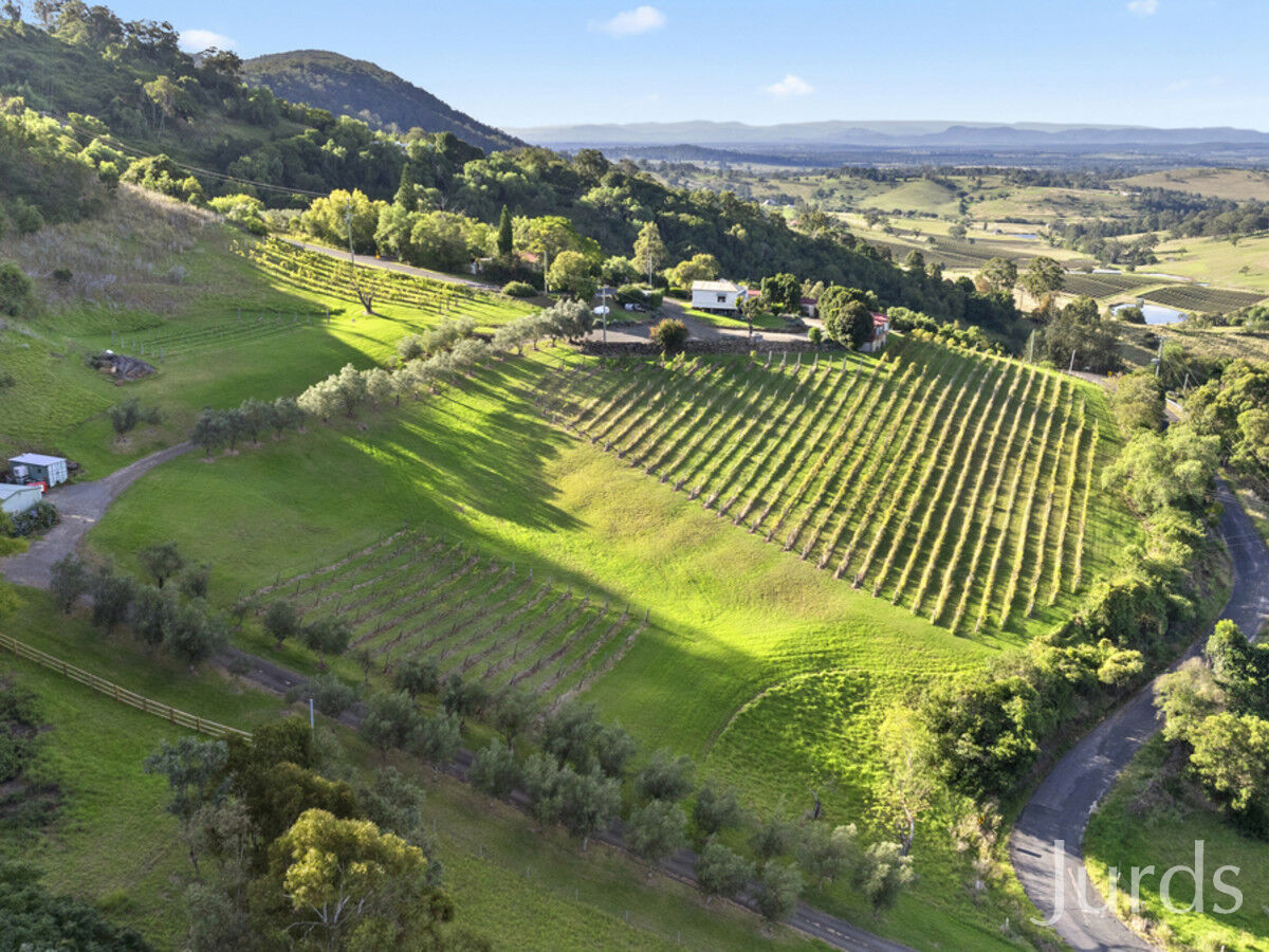 857 Mount View Road, Mount View, Mount View - Thumbnail 6