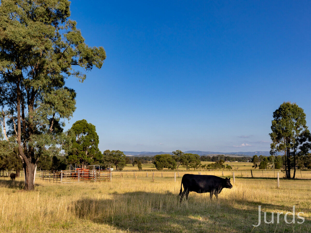 263 Wambo Road, Bulga, Bulga - Thumbnail 7