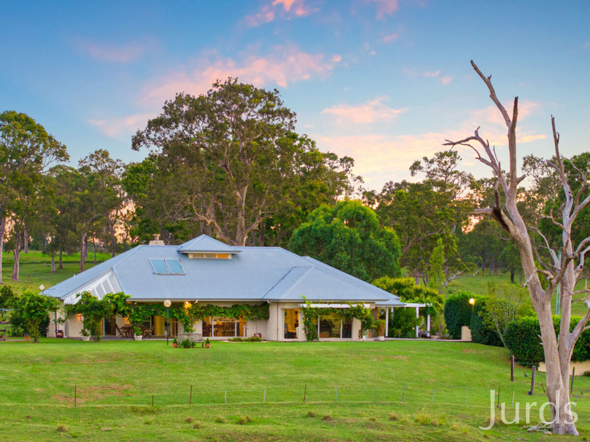 392 Tocal Road, Mindaribba, Mindaribba - Thumbnail 3