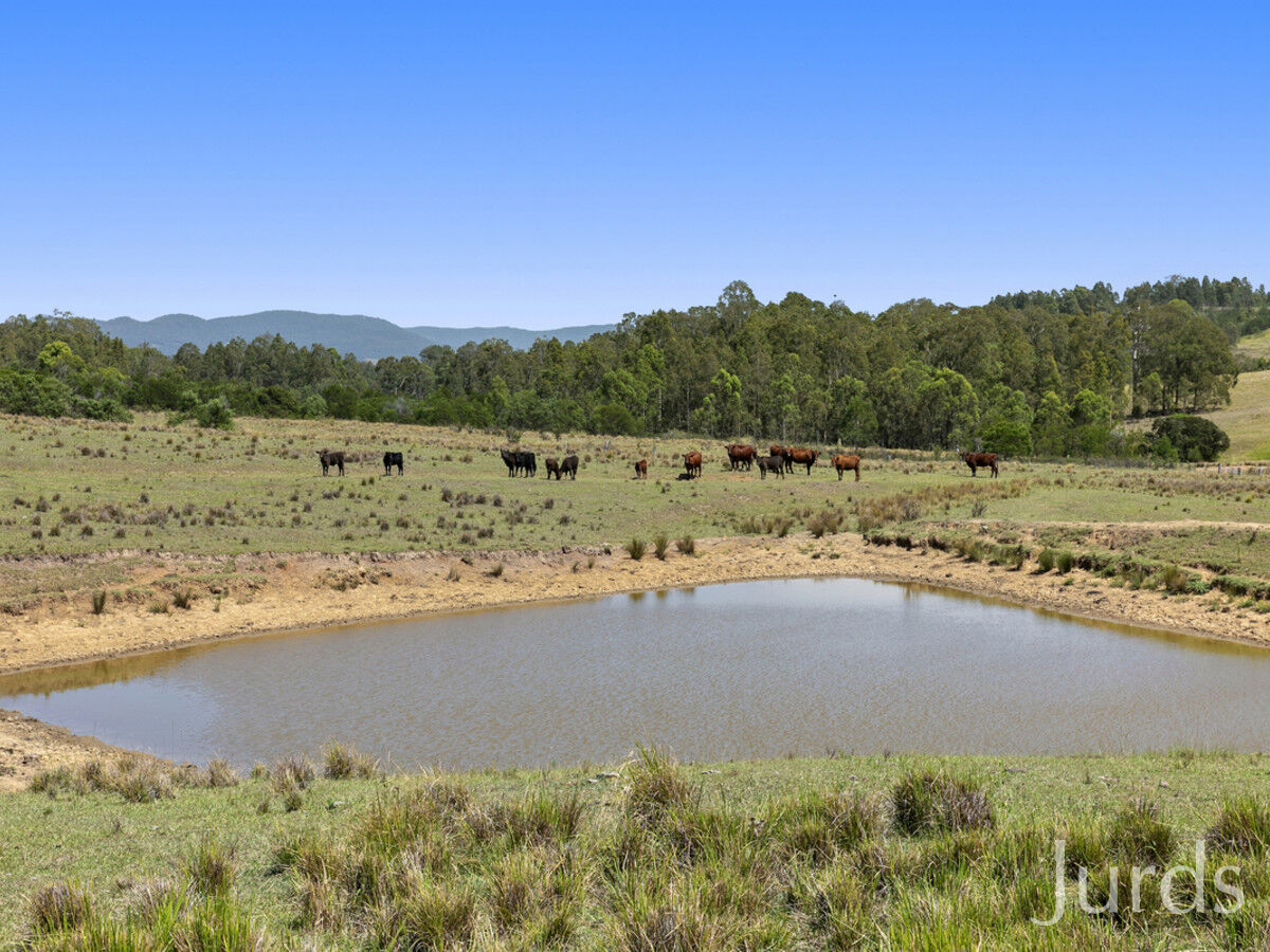 324 Wollong Road, QUORROBOLONG, Quorrobolong - Thumbnail 7