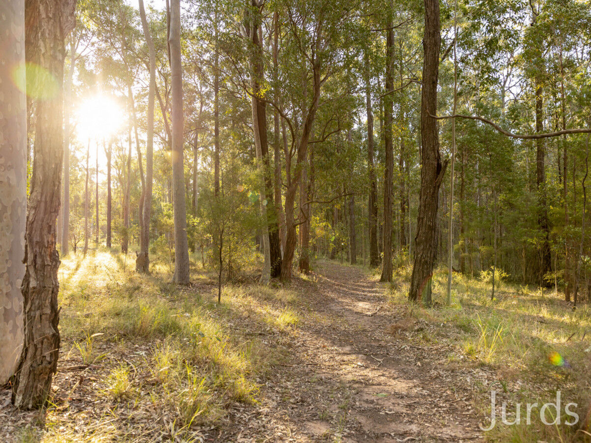 245 Sandy Creek Road, Mount Vincent, Mount Vincent - Thumbnail 6