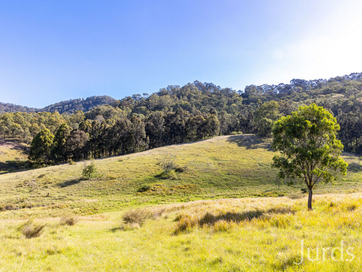 Lambs Valley, Lambs Valley - Thumbnail 6