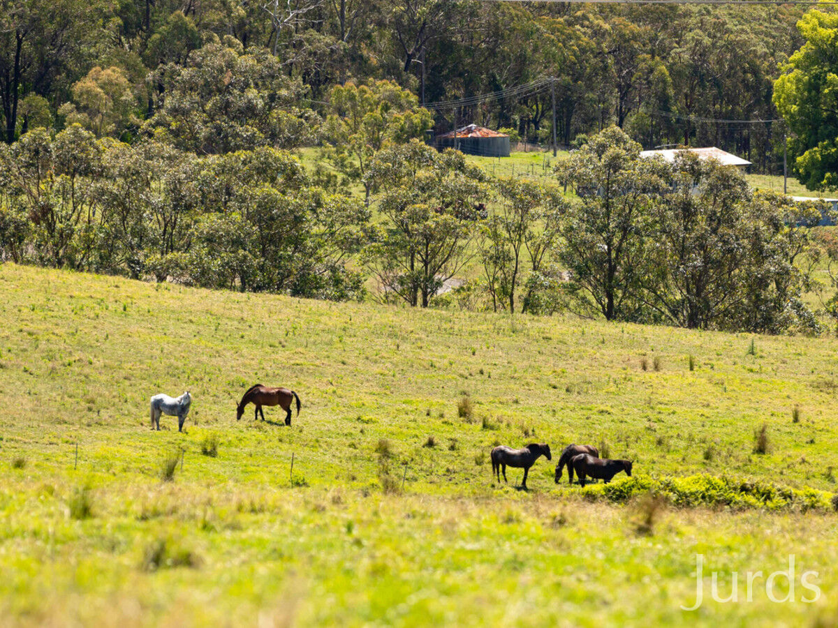 Lot 1502 Ironbark Road, Mangrove Mountain, Mangrove Mountain - Thumbnail 2