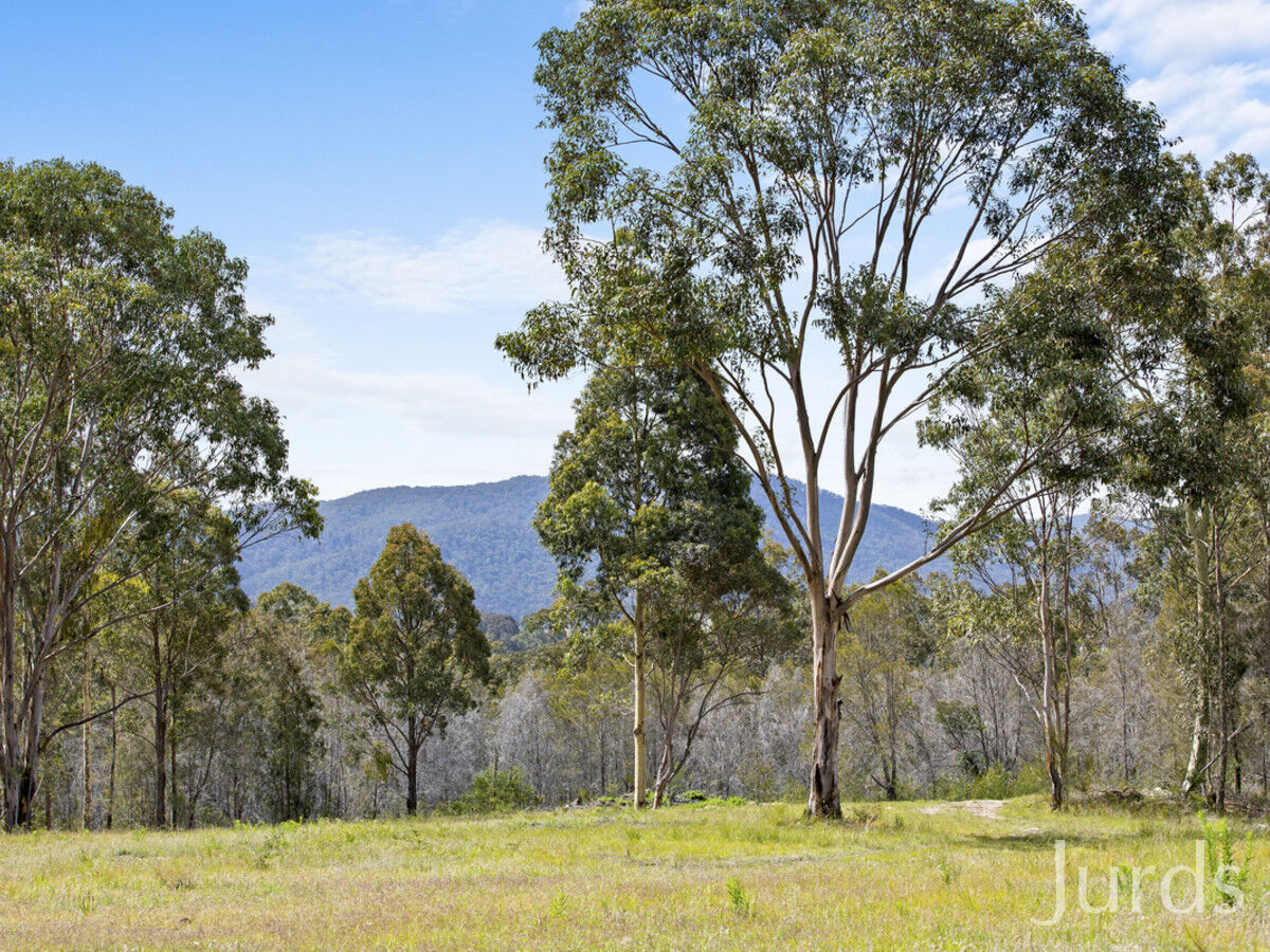 260 Hayes Road, Millfield, Millfield - Thumbnail 6