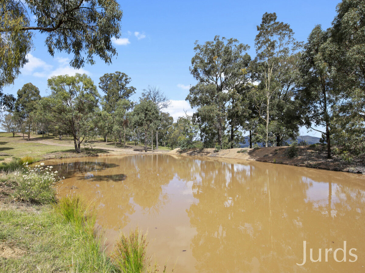 260 Hayes Road, Millfield, Millfield - Thumbnail 7