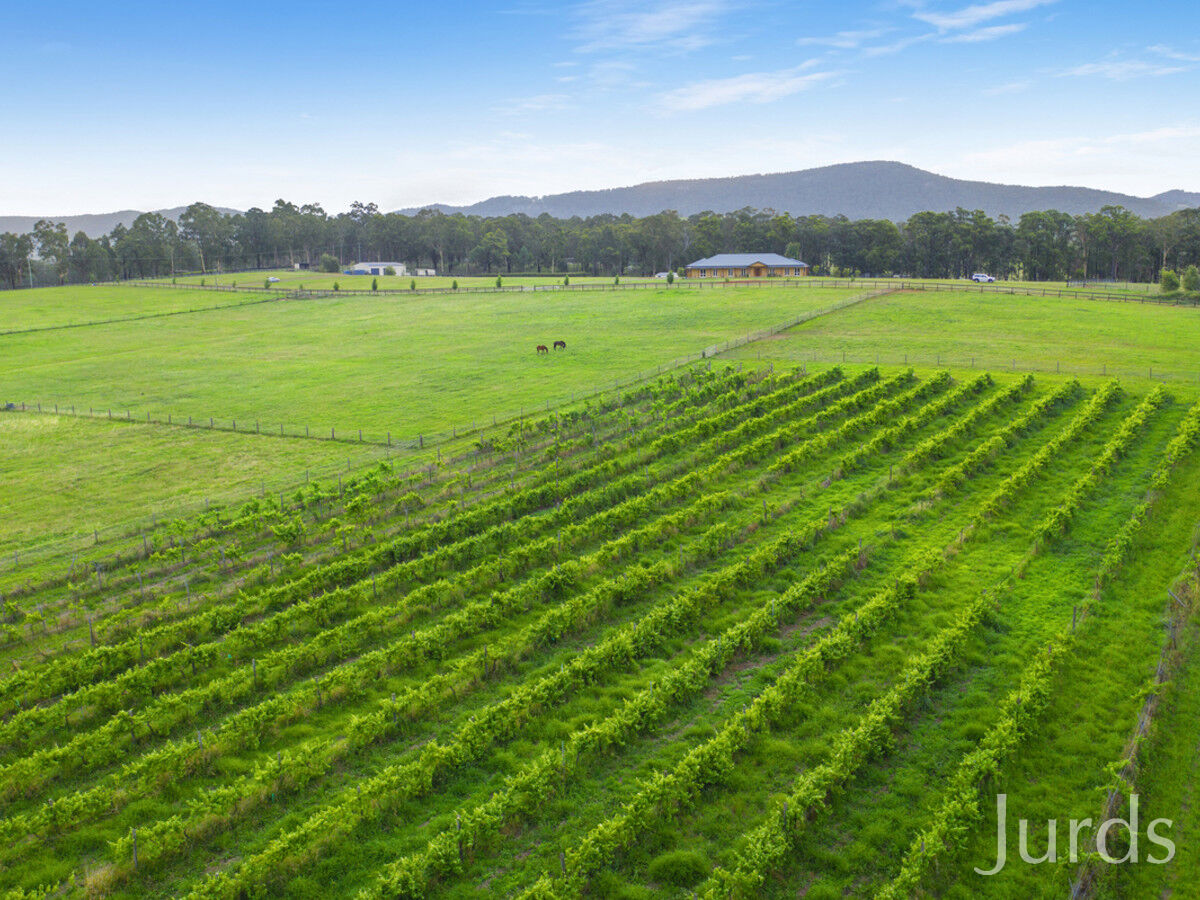 28 Marrowbone Road, Pokolbin, Pokolbin - Thumbnail 2
