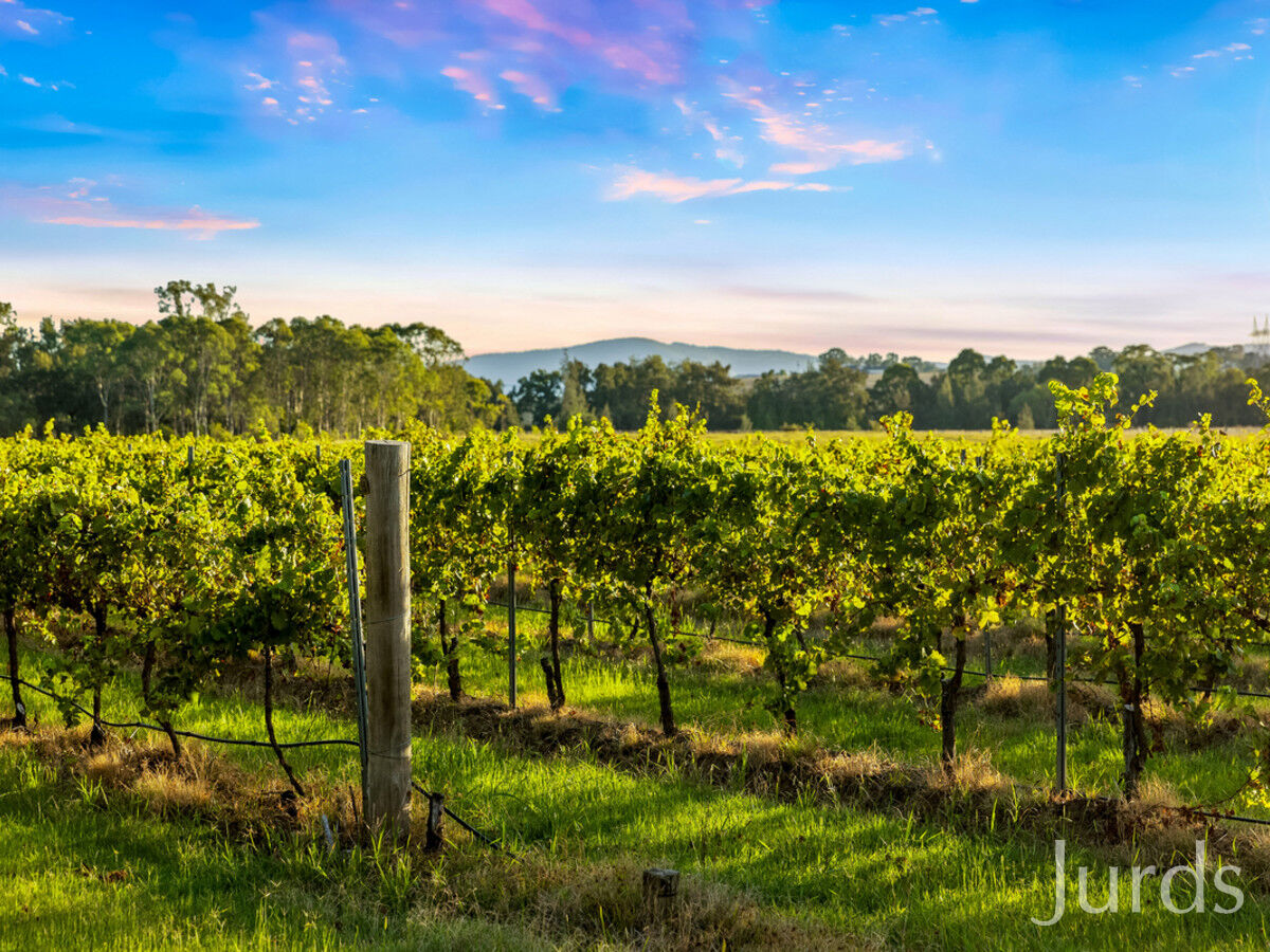 379 Wilderness Road, Lovedale, Lovedale - Thumbnail 3