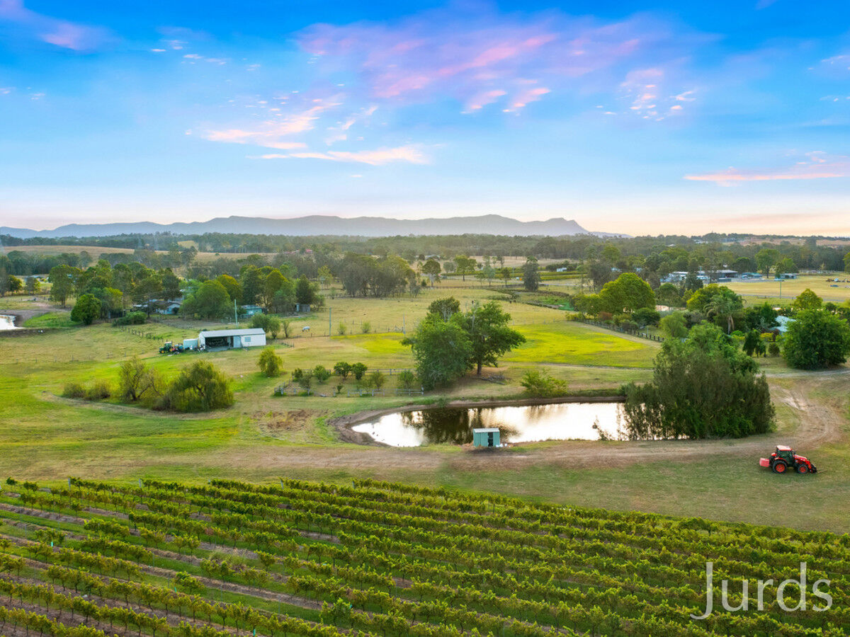 379 Wilderness Road, Lovedale, Lovedale - Thumbnail 5