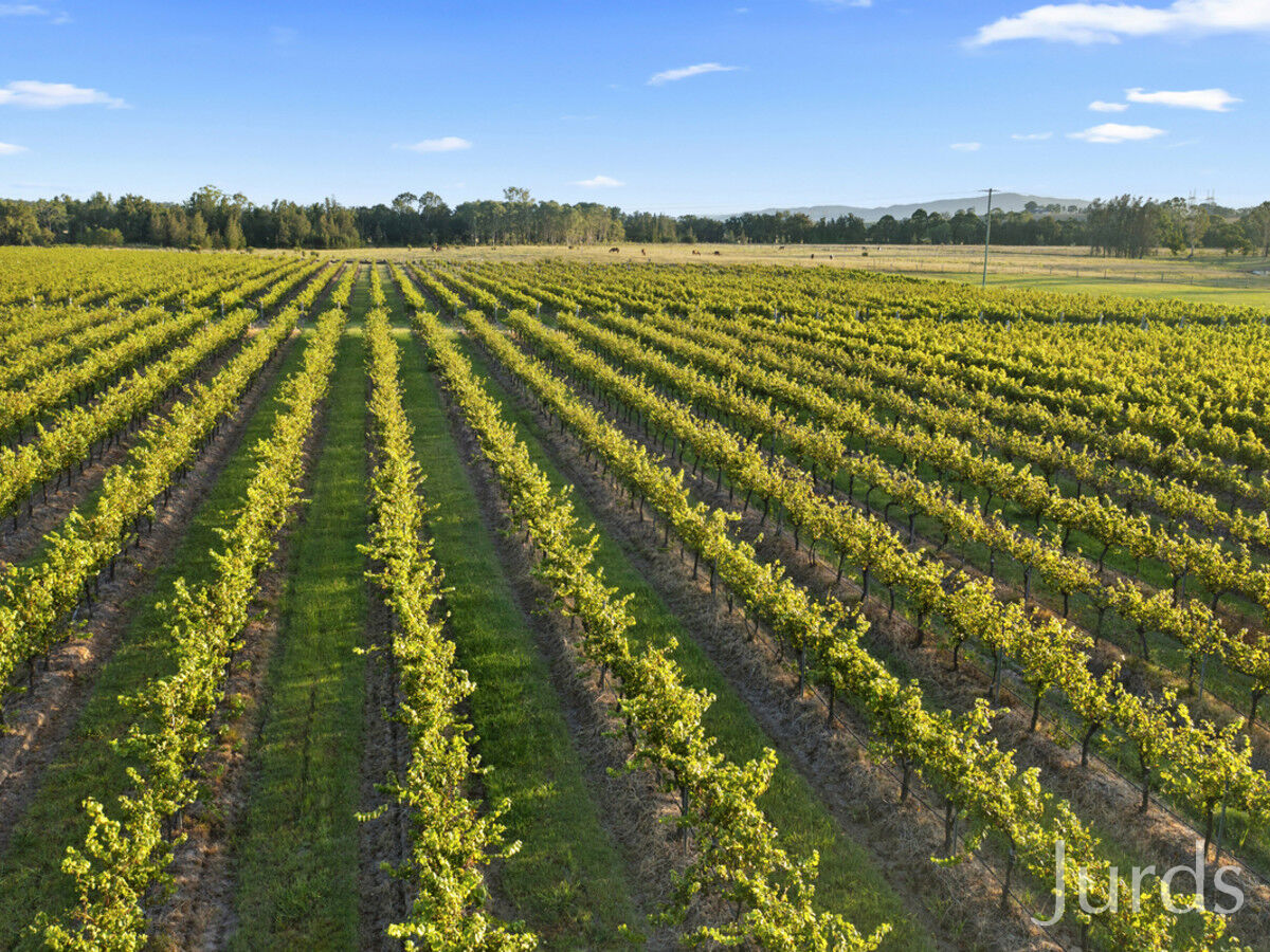 379 Wilderness Road, Lovedale, Lovedale - Thumbnail 6