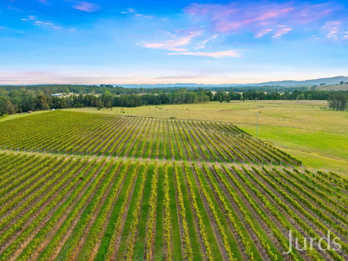 379 Wilderness Road, Lovedale, Lovedale - Thumbnail 8