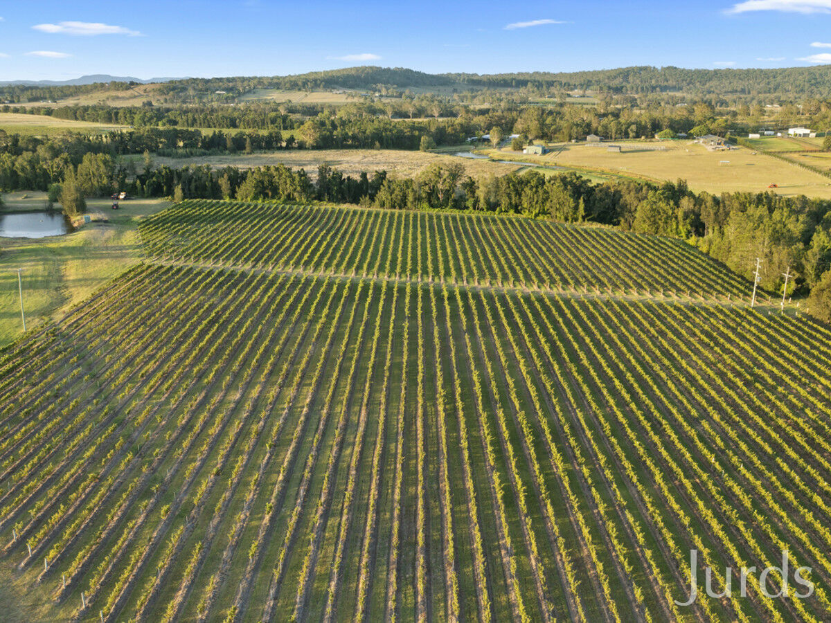 379 Wilderness Road, Lovedale, Lovedale - Thumbnail 2