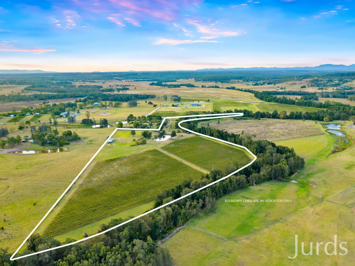 379 Wilderness Road, Lovedale, Lovedale - Thumbnail 4