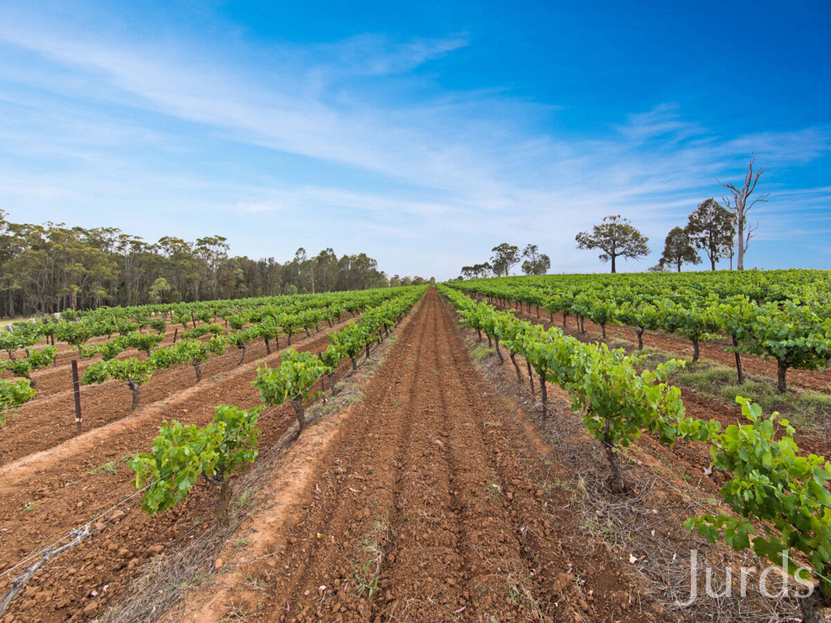 266 Deasys Road, Pokolbin, Pokolbin - Thumbnail 2