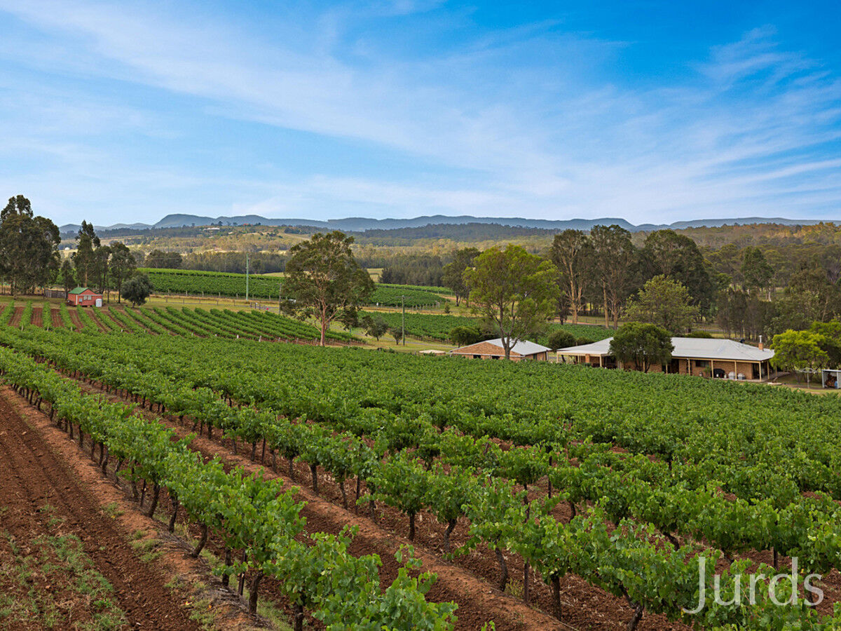 266 Deasys Road, Pokolbin, Pokolbin - Thumbnail 3