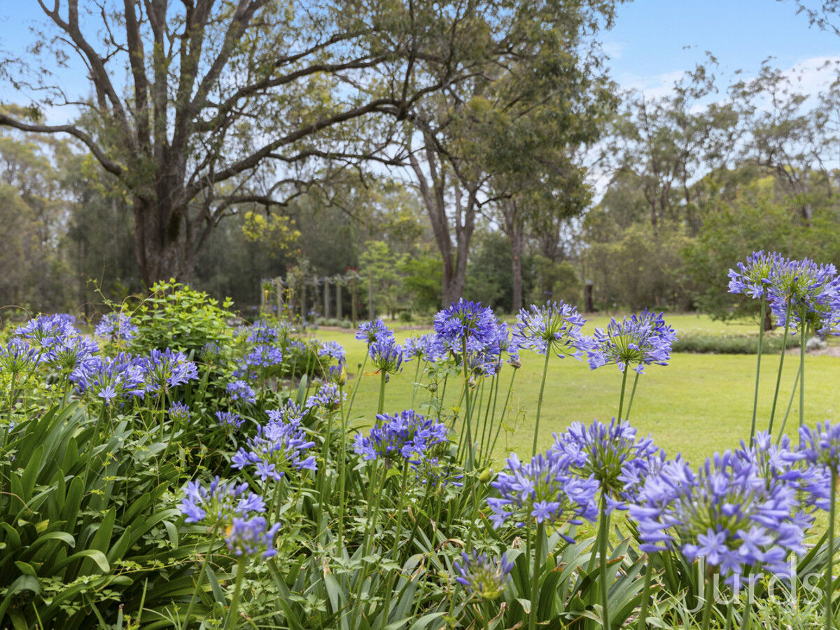 745 Lovedale Road, Lovedale, Lovedale - Thumbnail 6