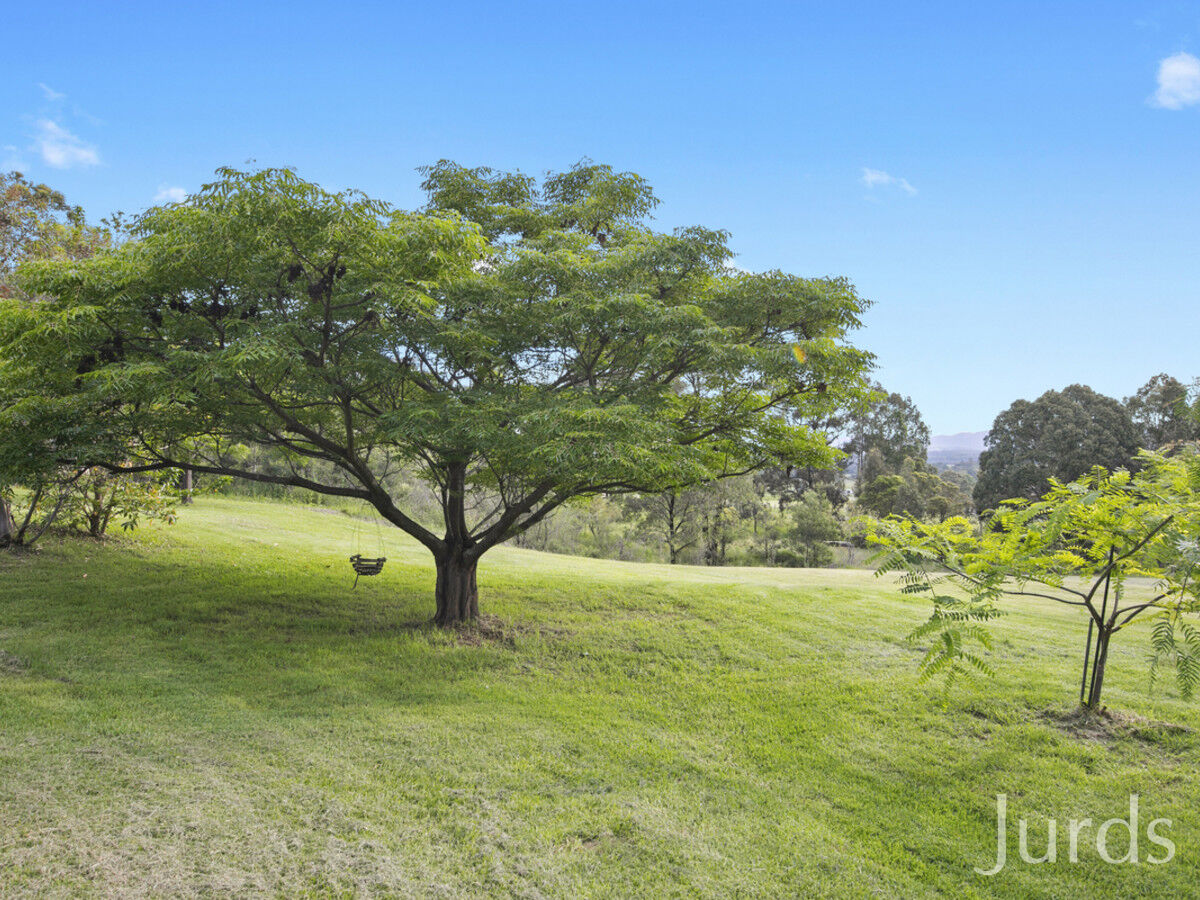 27 Richardson Road, Lovedale, Lovedale - Thumbnail 5