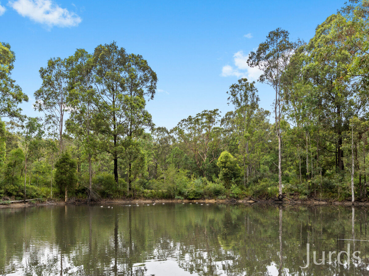 463 Lake Road, Elrington, Elrington - Thumbnail 6