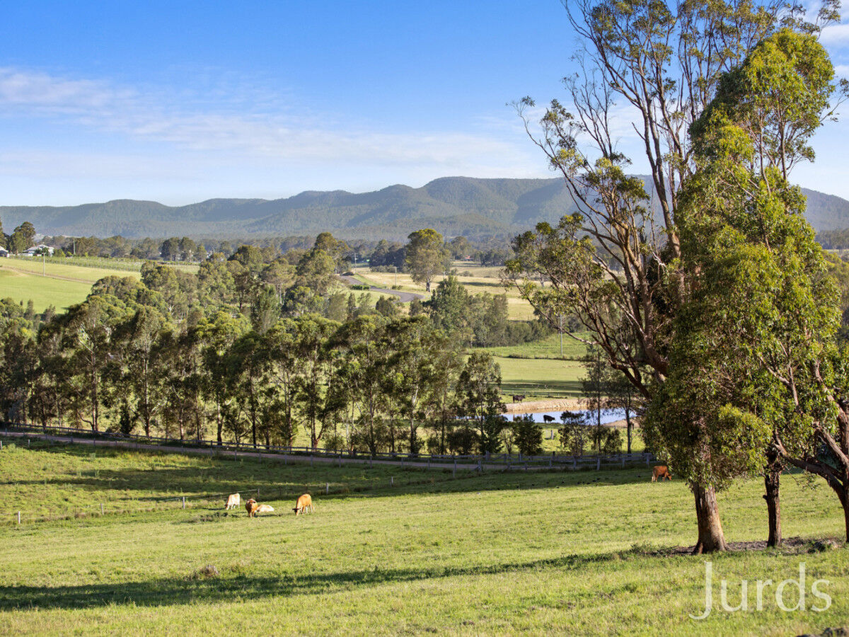 42 Lewis Road, Millfield, Millfield - Thumbnail 6