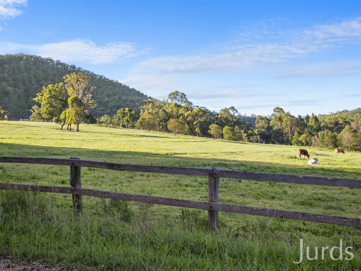 42 Lewis Road, Millfield, Millfield - Thumbnail 8