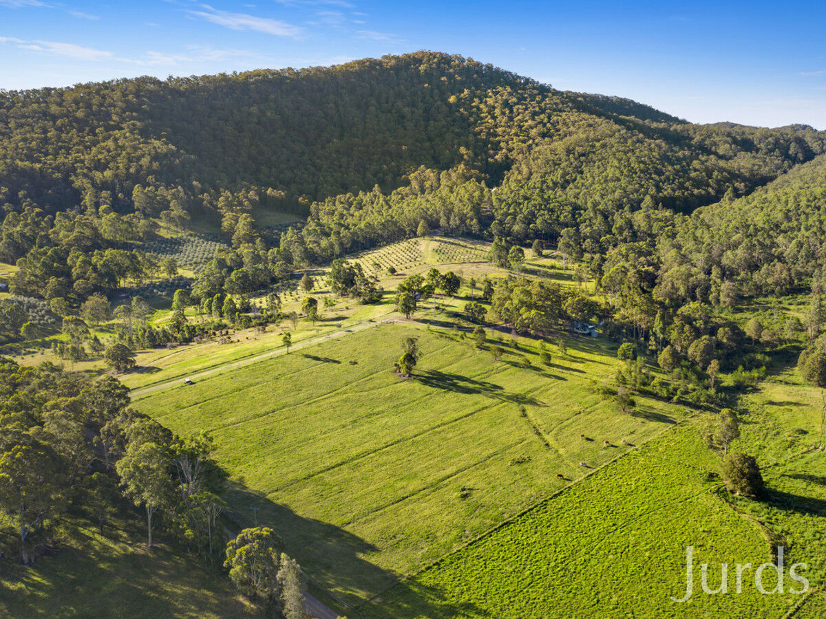 42 Lewis Road, Millfield, Millfield - Thumbnail 3