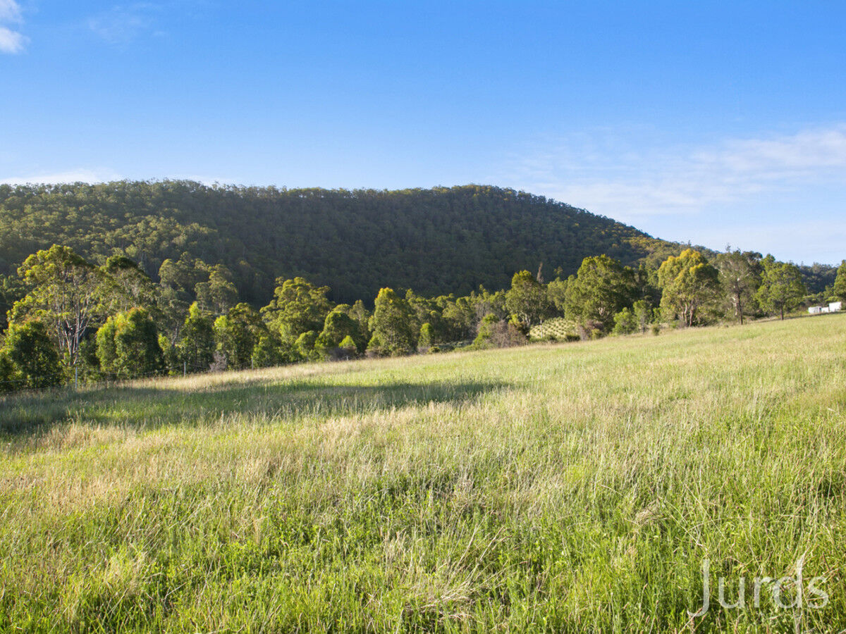 42 Lewis Road, Millfield, Millfield - Thumbnail 7