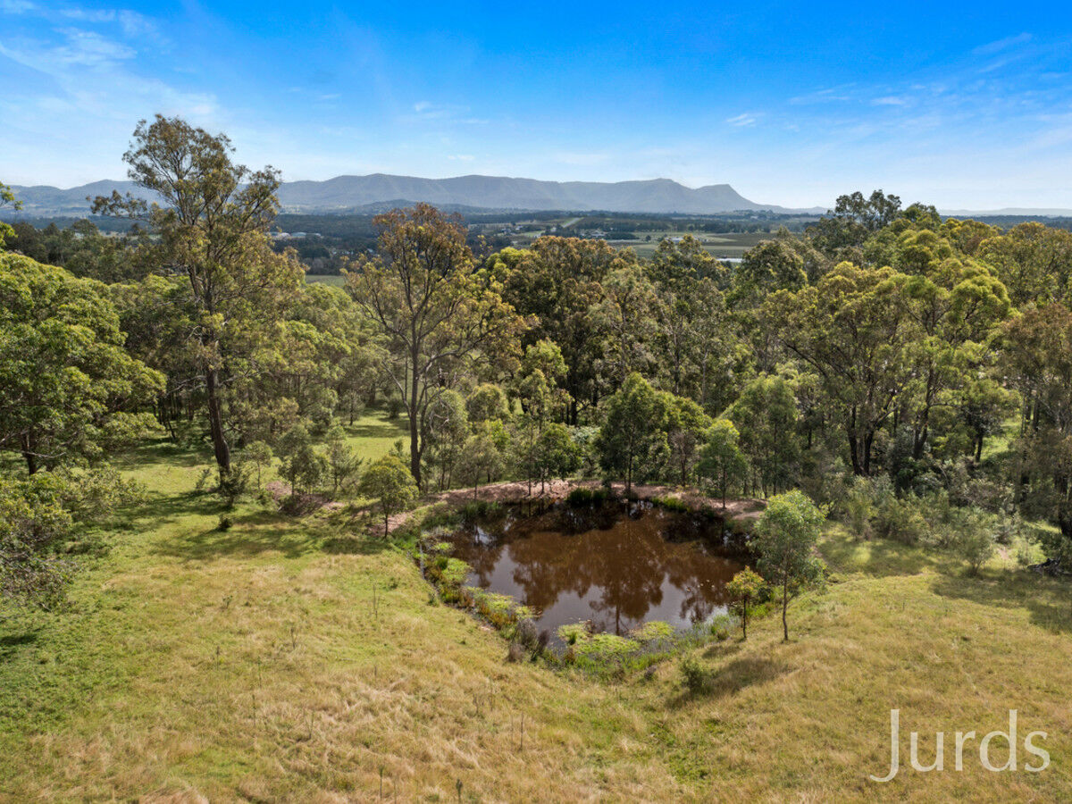 23 Richardson Road, Lovedale, Lovedale - Thumbnail 7