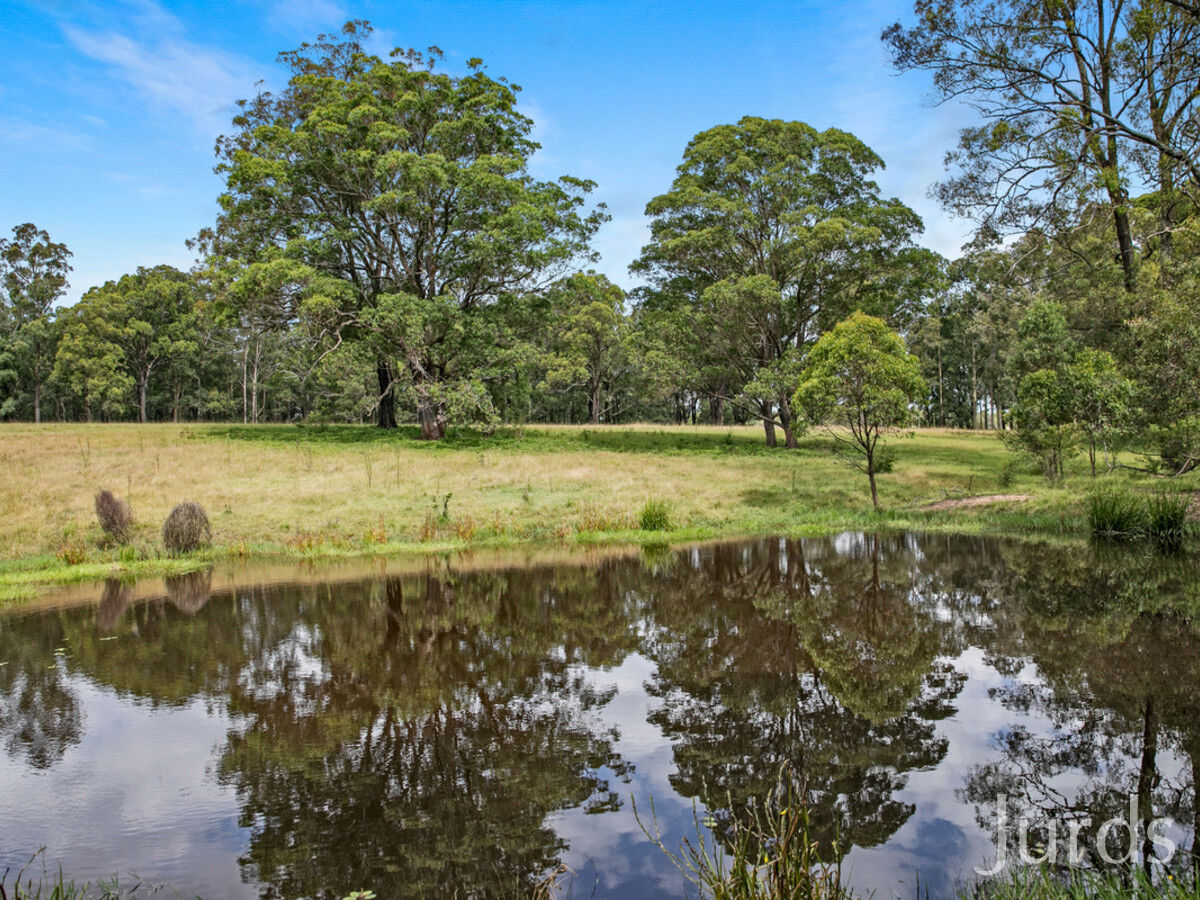 23 Richardson Road, Lovedale, Lovedale - Thumbnail 5