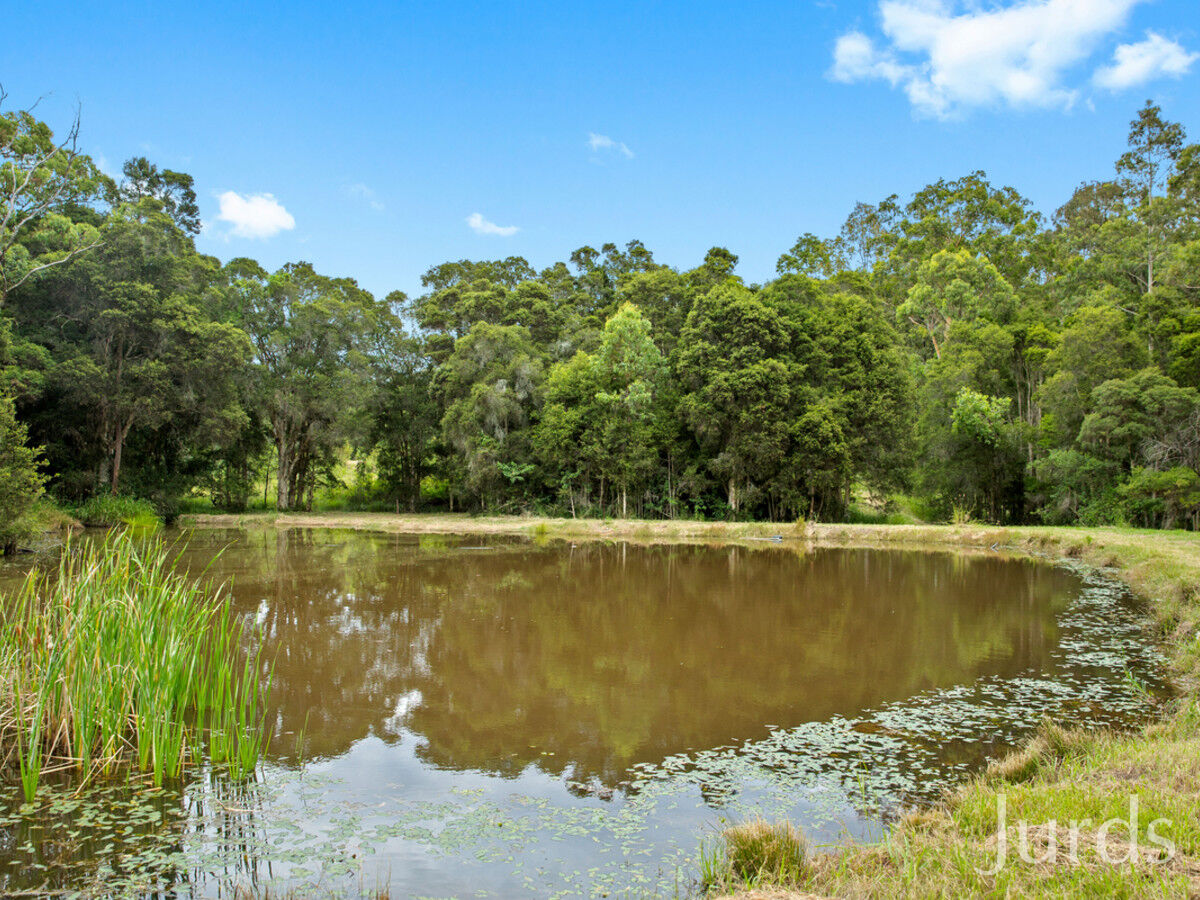 794 Lake Road, Mulbring, Mulbring - Thumbnail 6