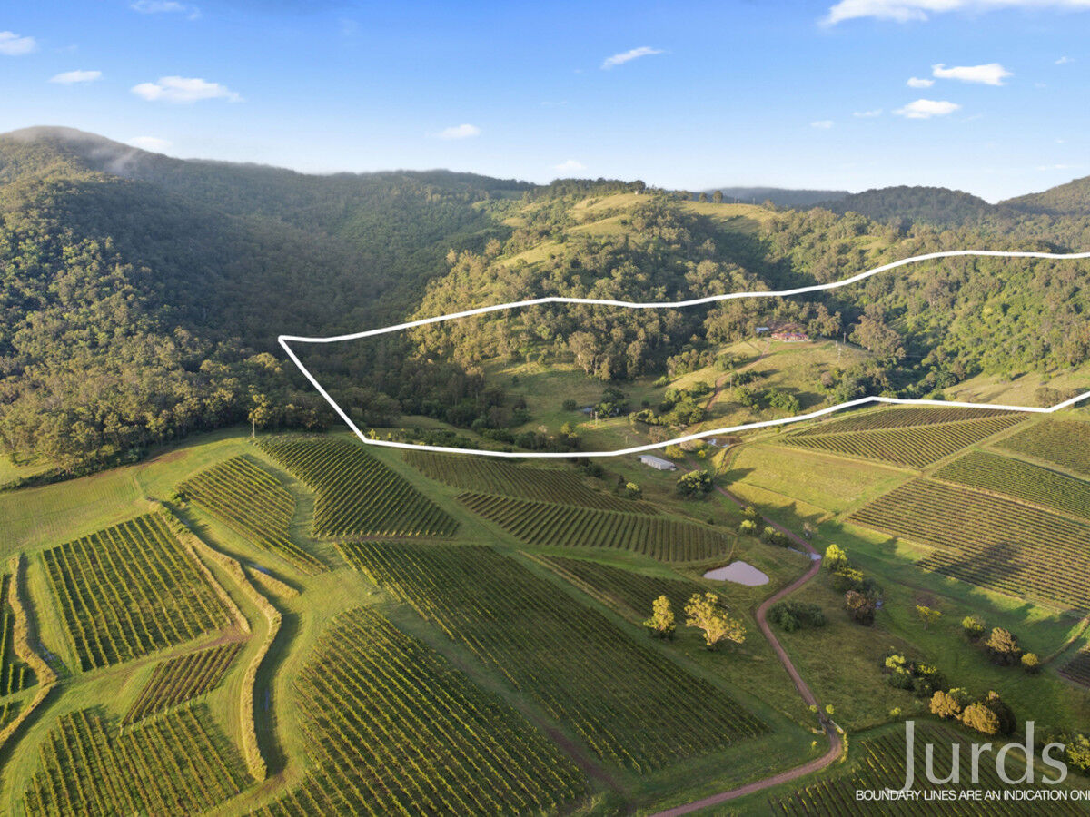 493 Marrowbone Road, Pokolbin, Pokolbin - Thumbnail 5
