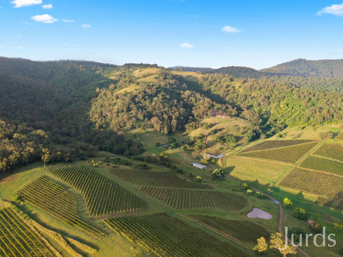 493 Marrowbone Road, Pokolbin, Pokolbin - Thumbnail 2