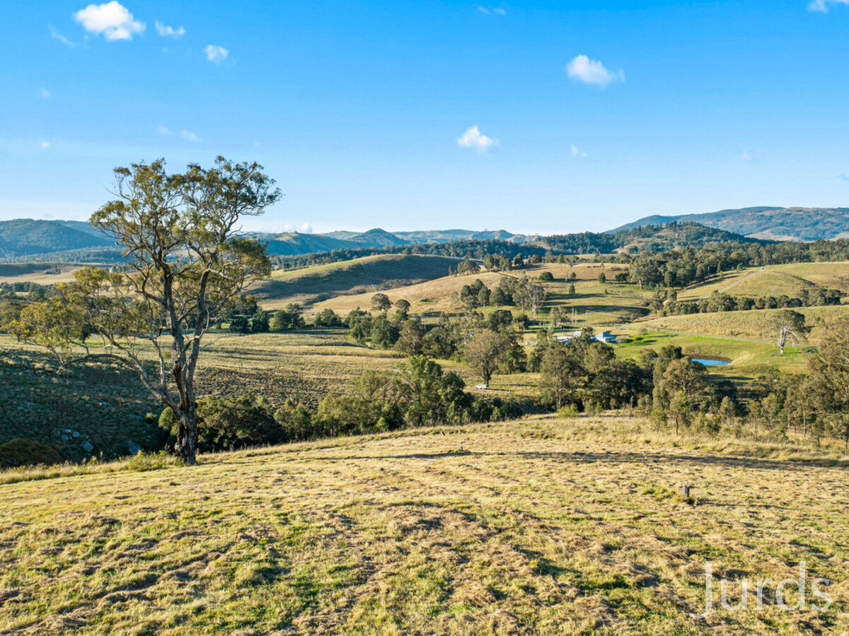 38 Tangory Rise, Glendonbrook, Glendon Brook - Thumbnail 6