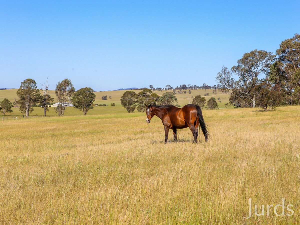 Lot 1 / 261 Standen Drive, Lower Belford, Lower Belford - Thumbnail 6