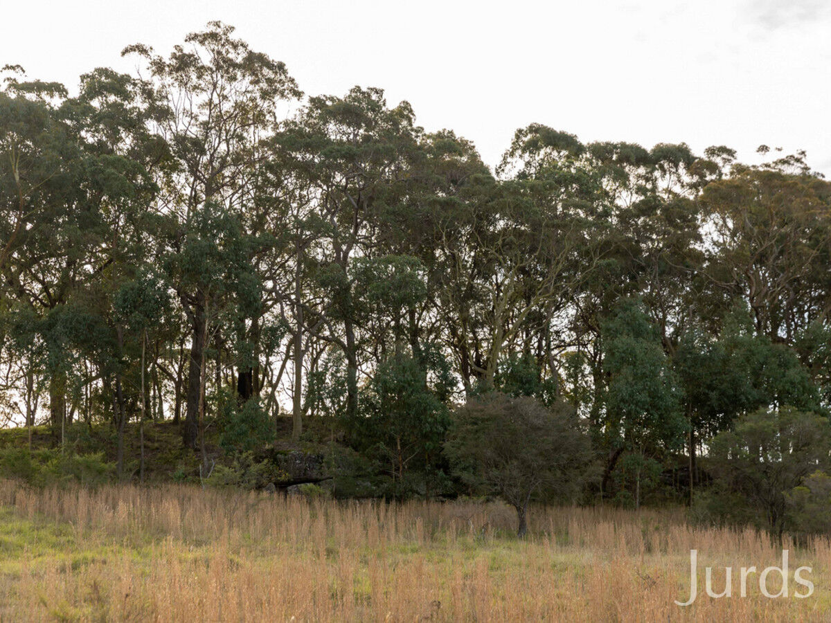295 Ironbark Road, Mangrove Mountain, Mangrove Mountain - Thumbnail 2