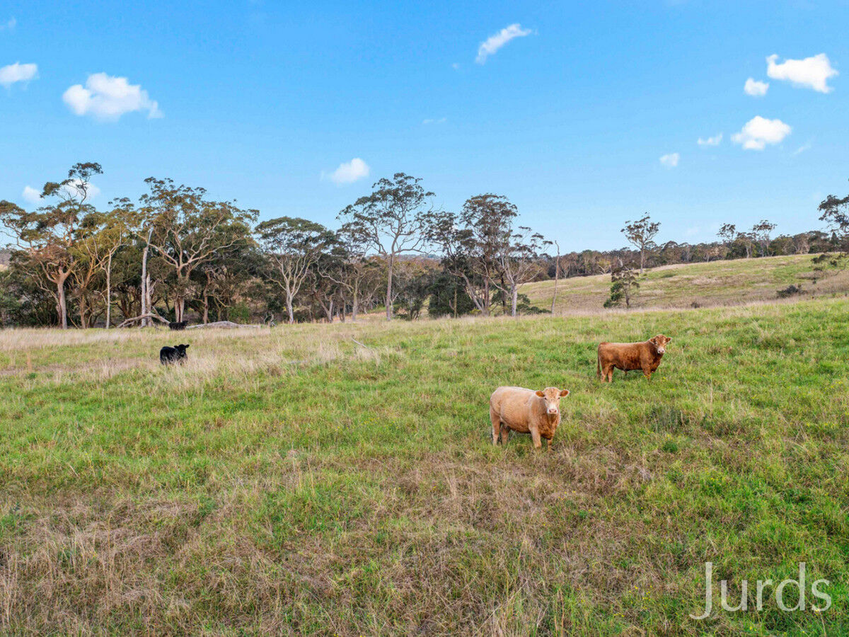 295 Ironbark Road, Mangrove Mountain, Mangrove Mountain - Thumbnail 8
